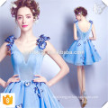 New Lady Dresses Light Blue Short Frock Dresses with Handmade Butterfly OEM Factory Fashion Short Mini Dresses For Ladies